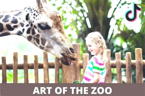 artoofzoo|Art of zoo .